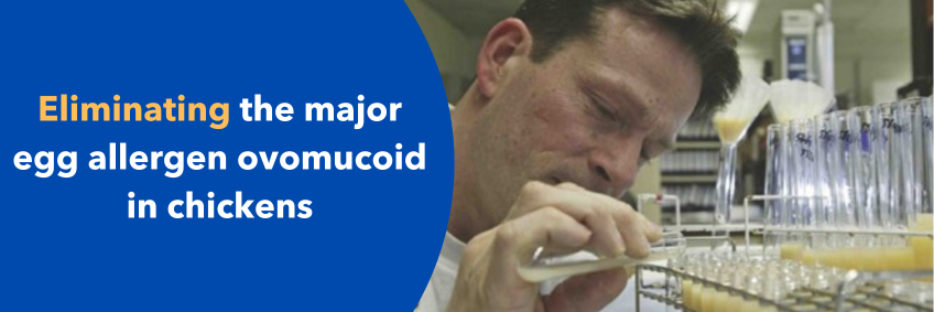 Eliminating the Major Egg Allergen Ovomucoid in Chickens