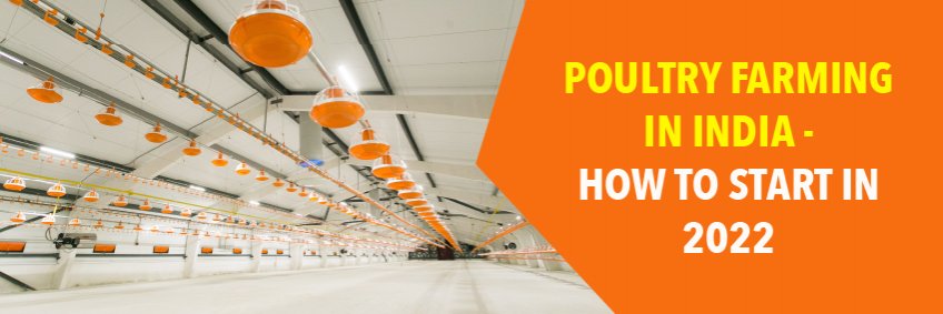 Poultry Farming in India — How To Start in 2022
