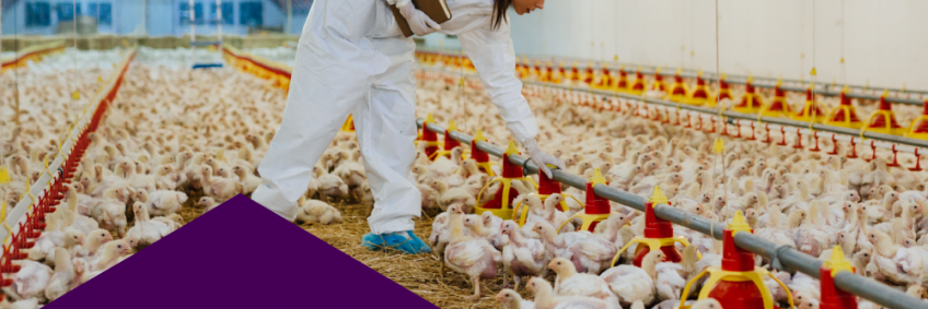 Revolutionizing Poultry Farming — Key Takeaways from Knowledge Day at Poultry India Expo 2024