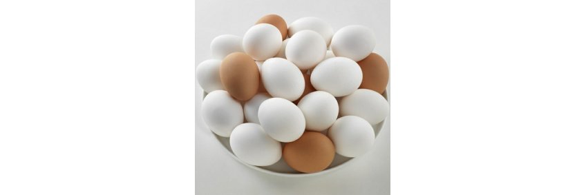 Saudi Arabia's Table Egg Production Exceeds 8 Billion Eggs in 2024