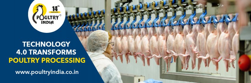 Technology 4.0 Transforms Poultry Processing