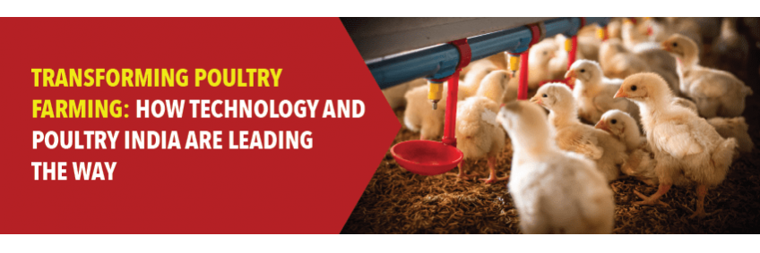 Transforming Poultry Farming — How Technology and Poultry India Are Leading the Way
