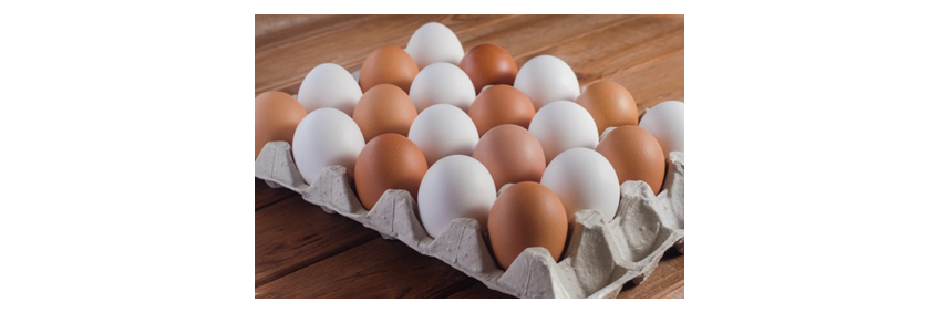 International Egg Commission Rebrands as World Egg Organisation (WEO)