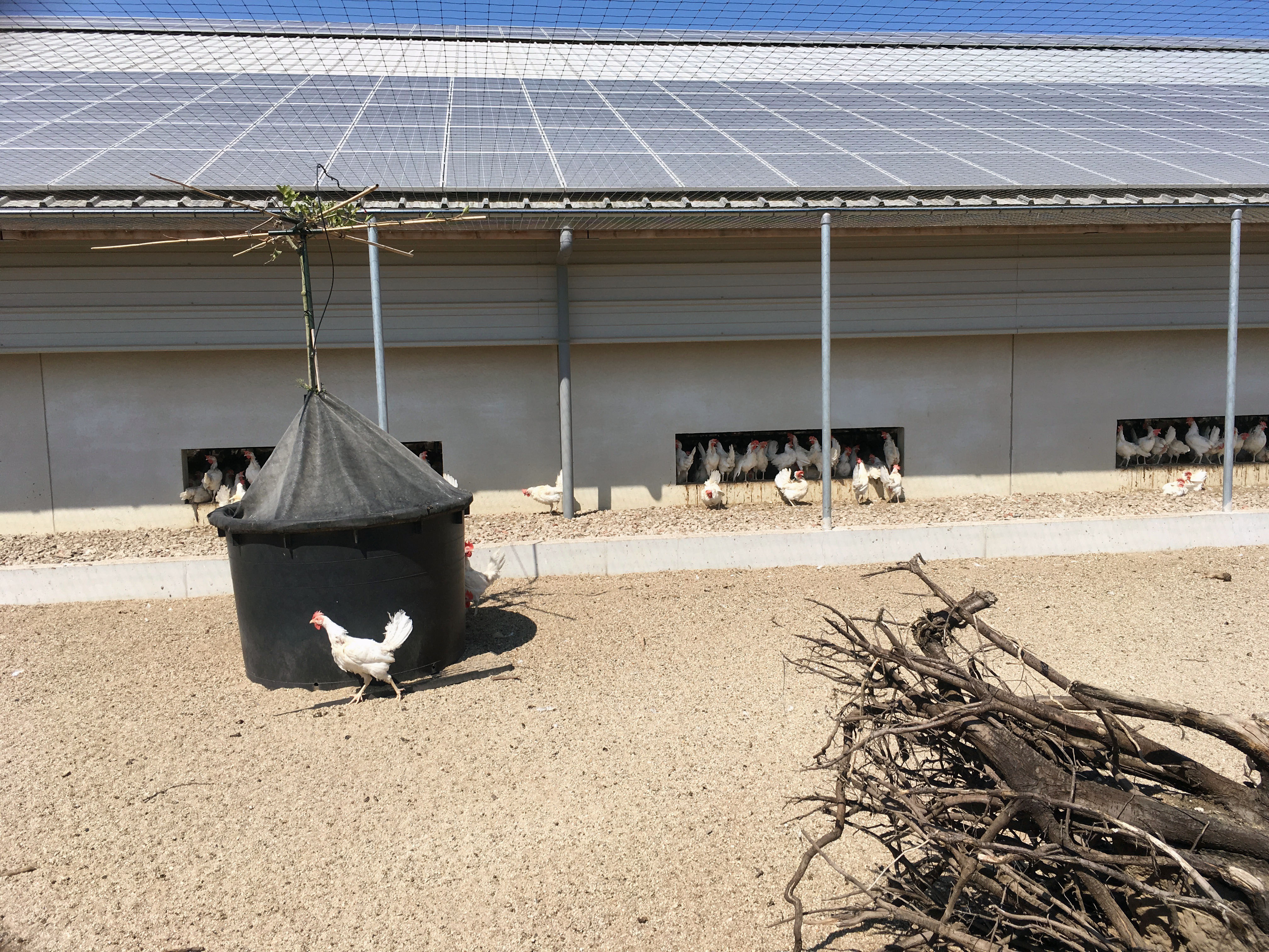Kipster — solar panels and education centre