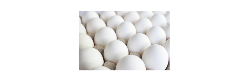 Eggs Now Stored for 90 Days Without Spoiling — CARI's Egg Shield Herbal Spray
