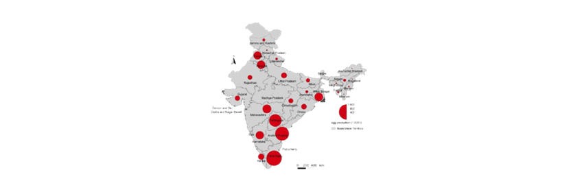 Maize Availability, Poultry Growth, and Policy Reforms