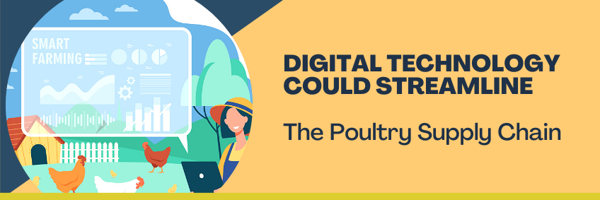 Digital Technology Could Streamline the Poultry Supply Chain