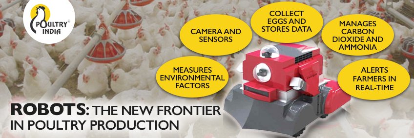 Robots — The New Frontier in Poultry Production