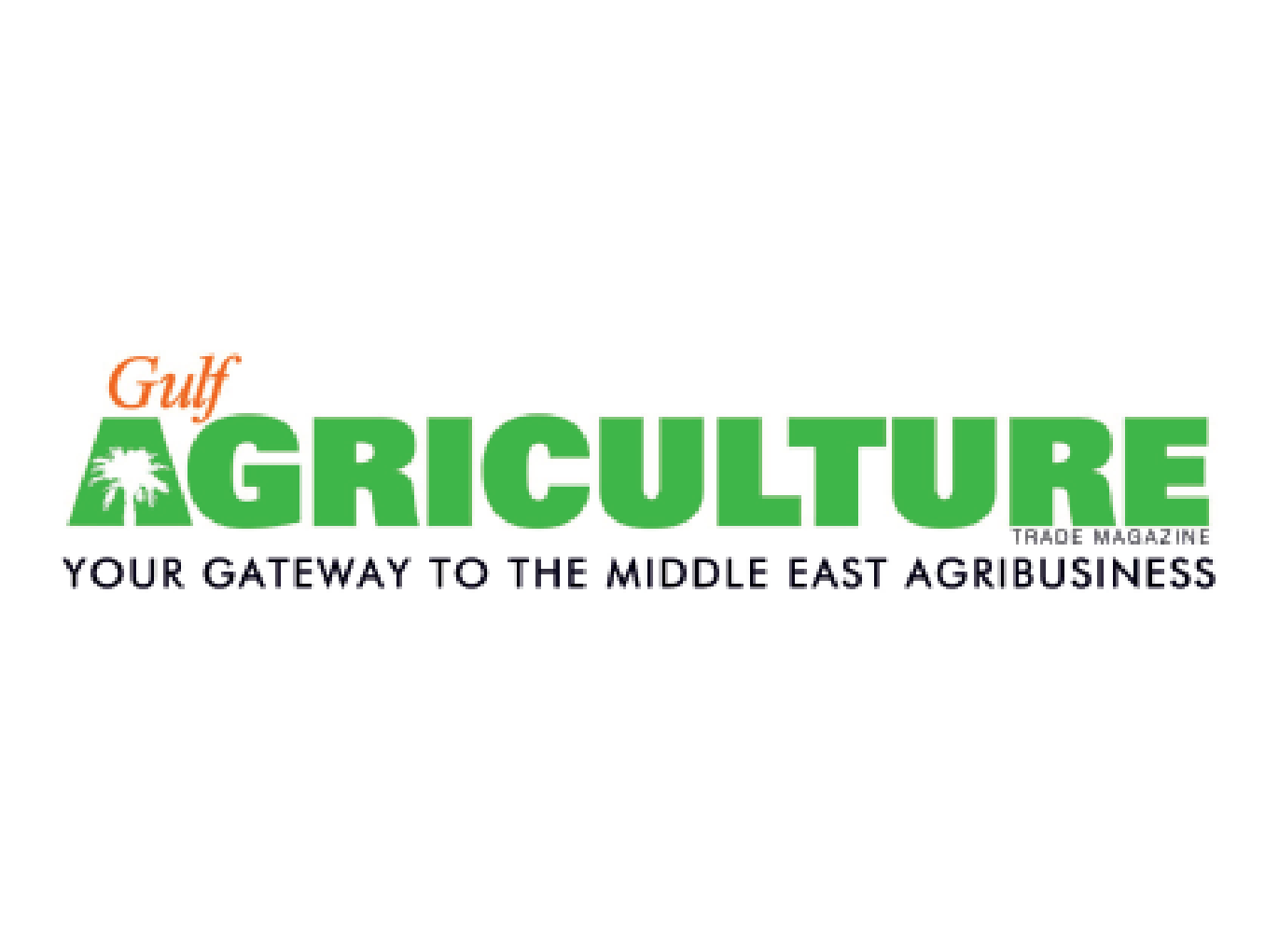 International Media Partner 1