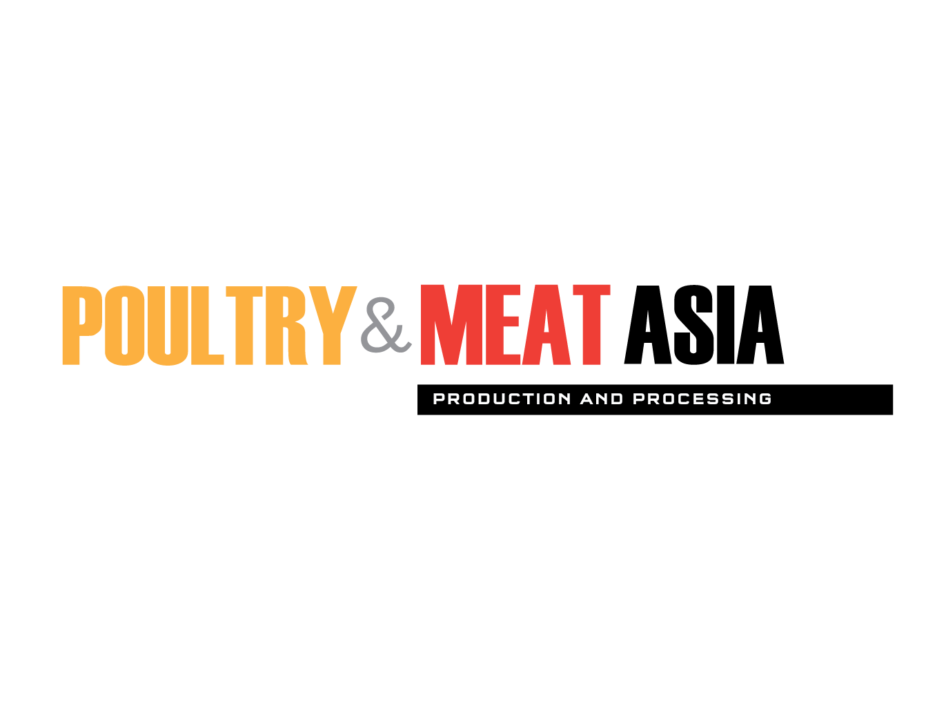 International Media Partner 11