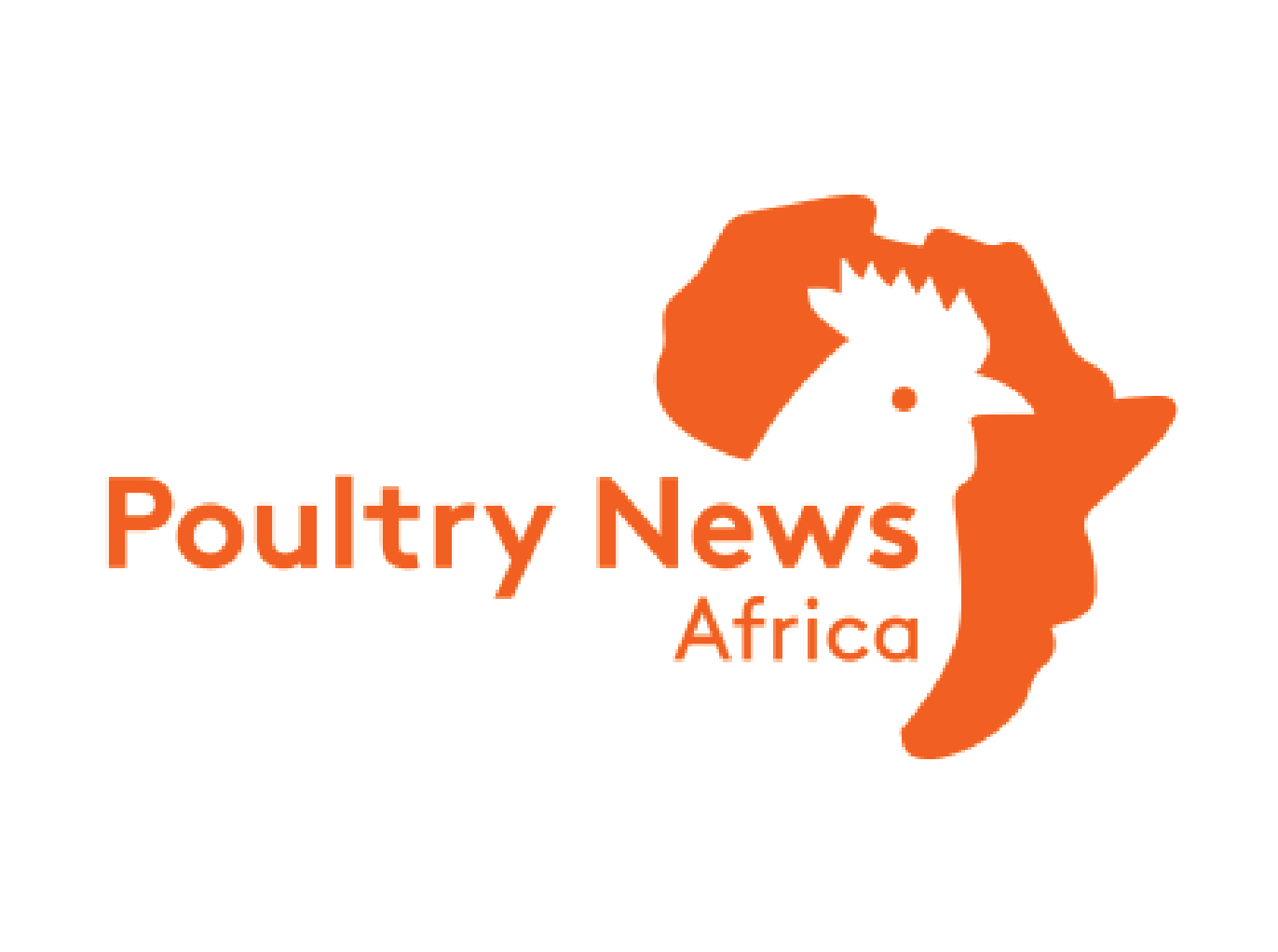 International Media Partner 12