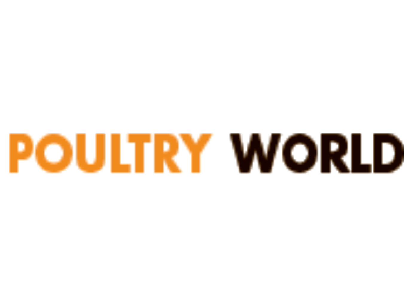 International Media Partner 14