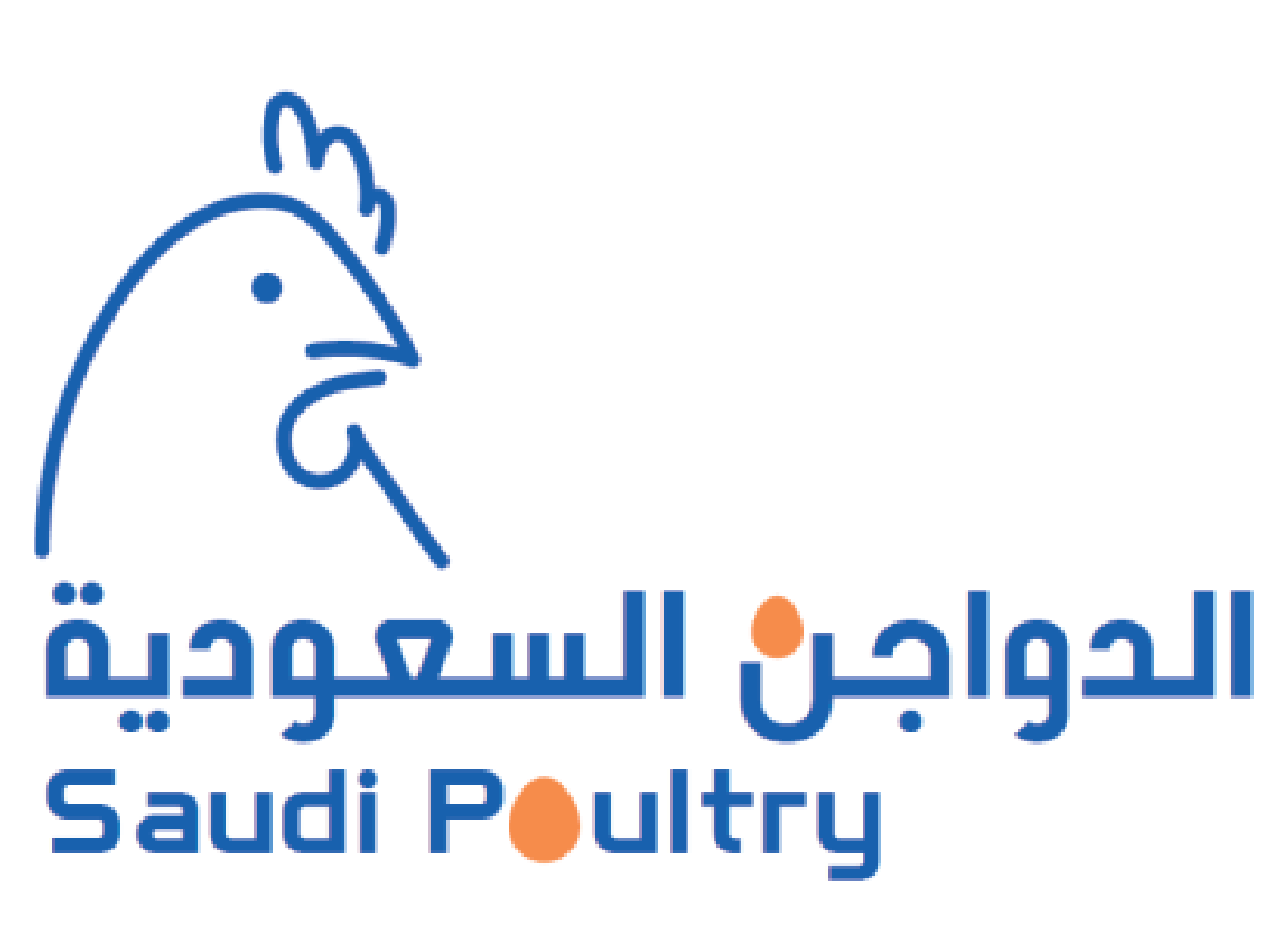 International Media Partner 15