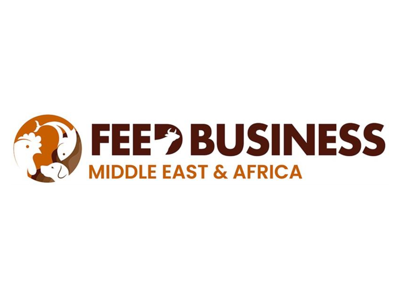 International Media Partner 16