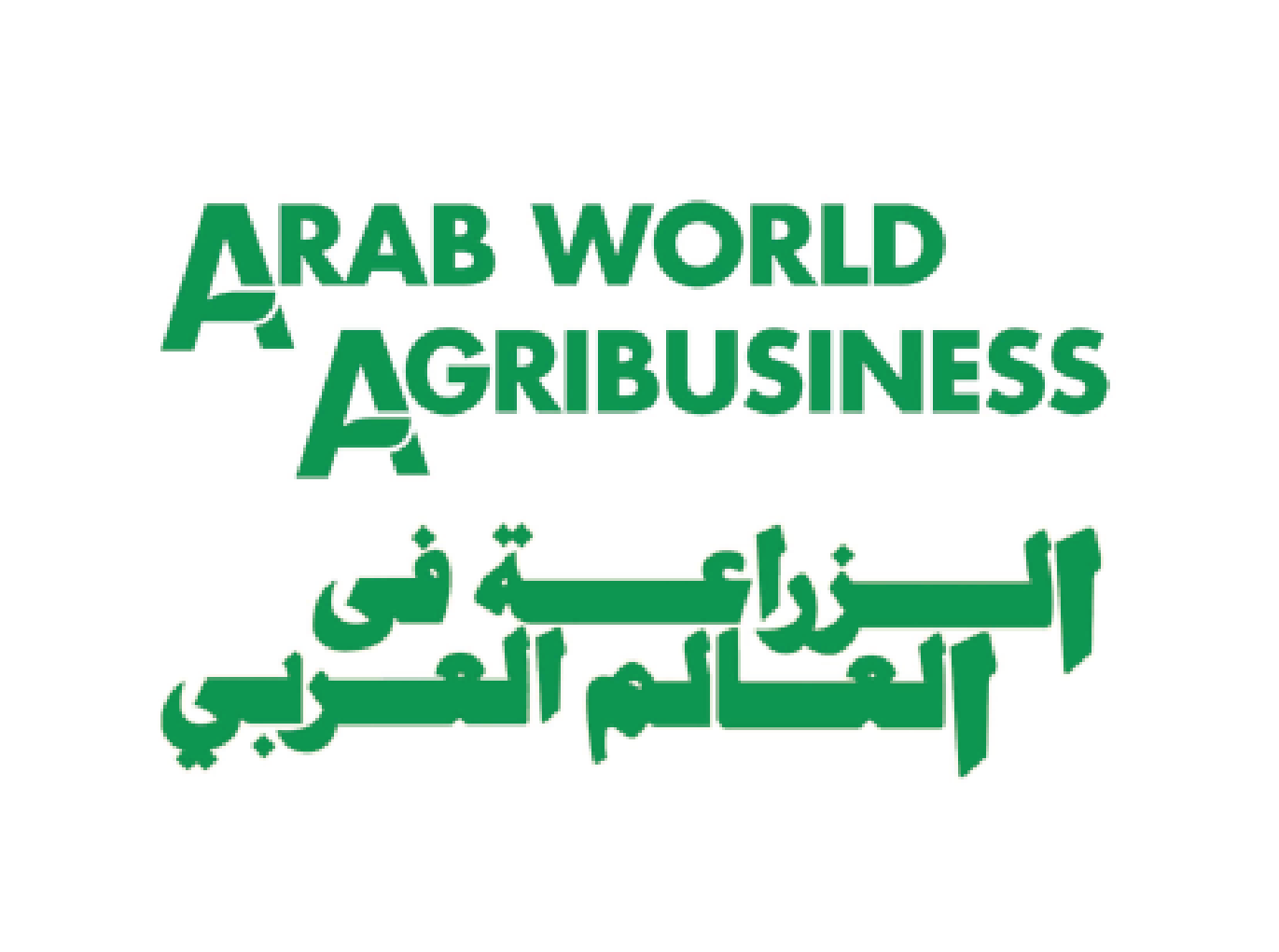 International Media Partner 2