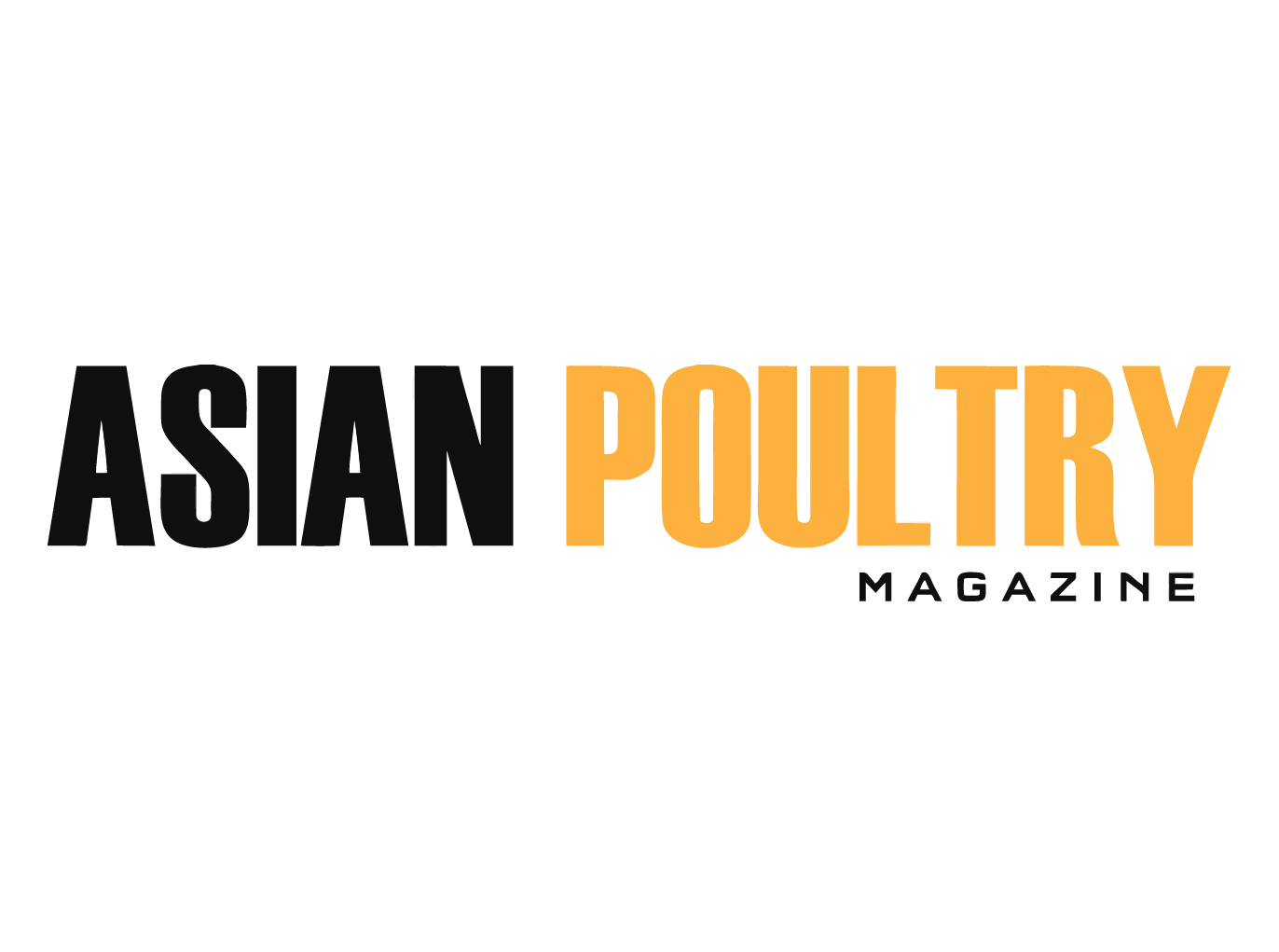 International Media Partner 3