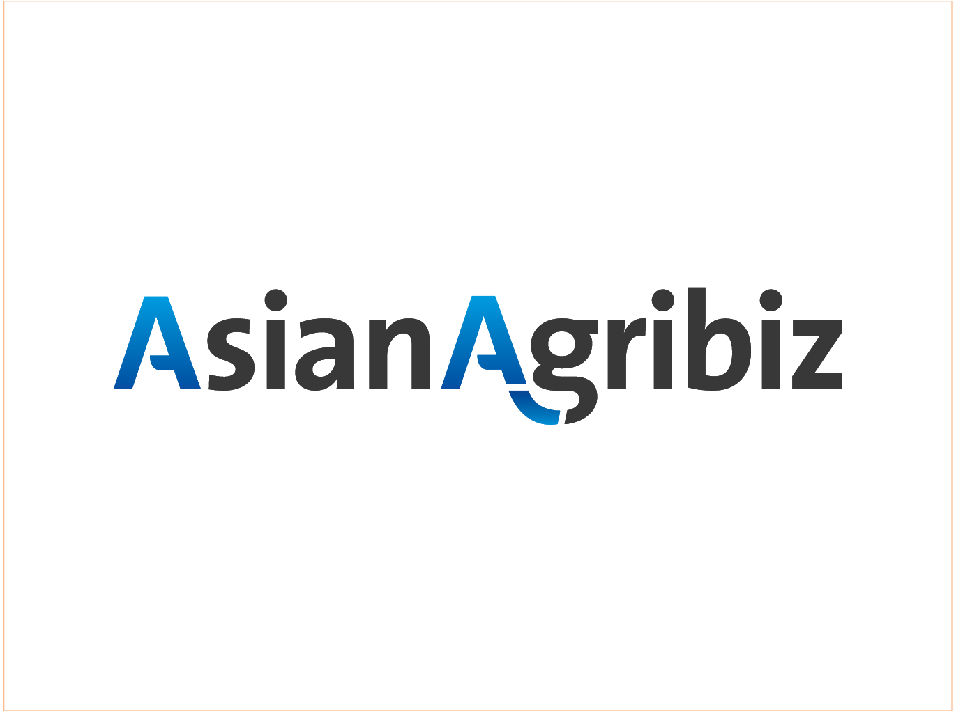 International Media Partner 4