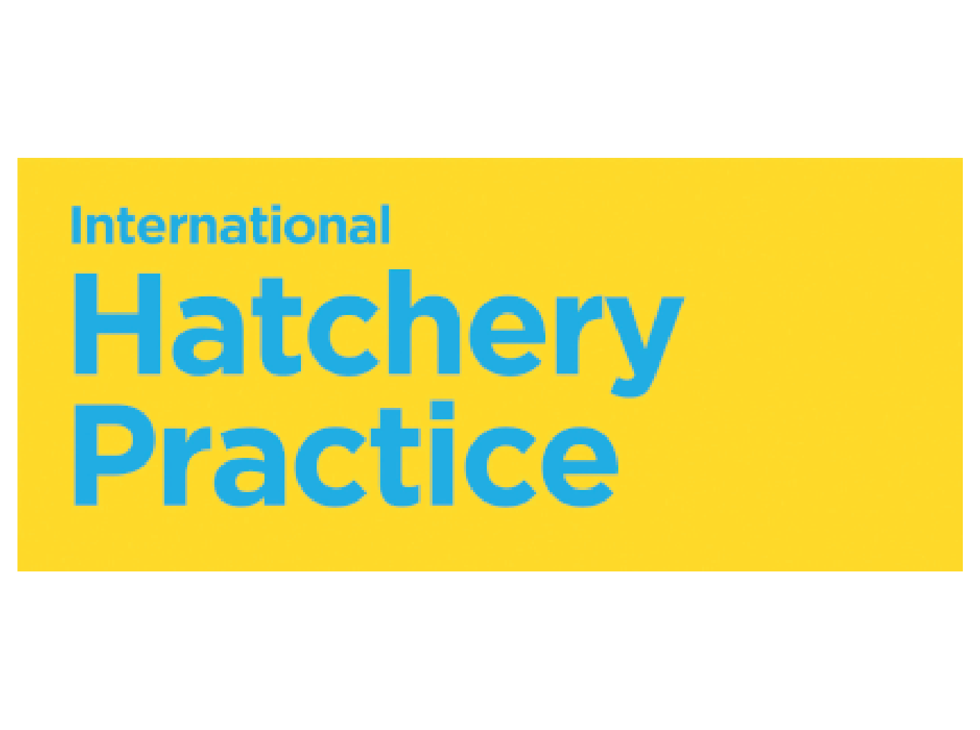 International Media Partner 8