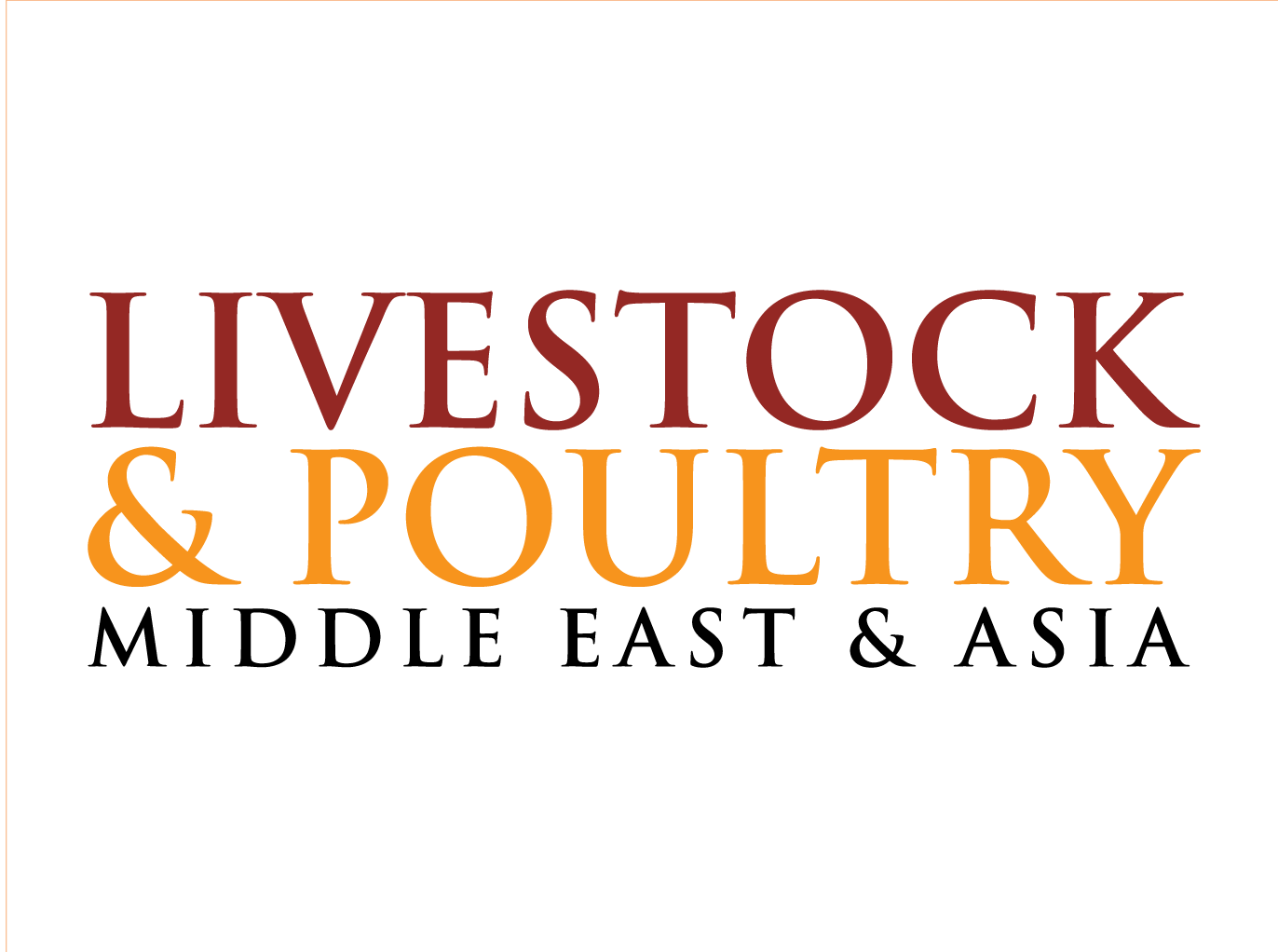 International Media Partner 9