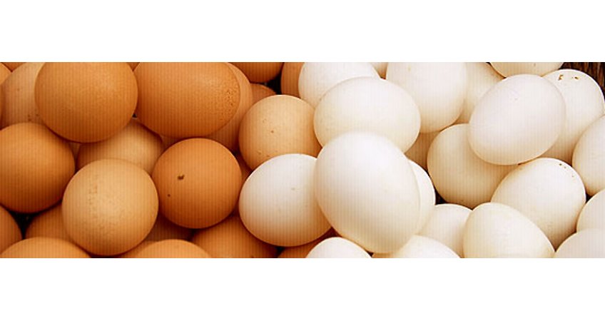 Kuwait Lifts Ban on Indian Poultry