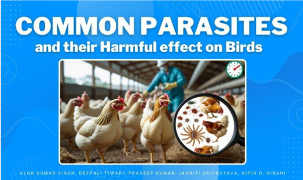 Coccidiosis