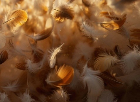Feather Conversion Technology