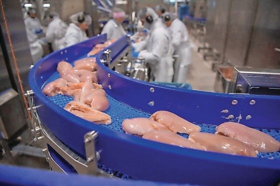 War Shakes Up Poultry Supply Chains Across the Middle East