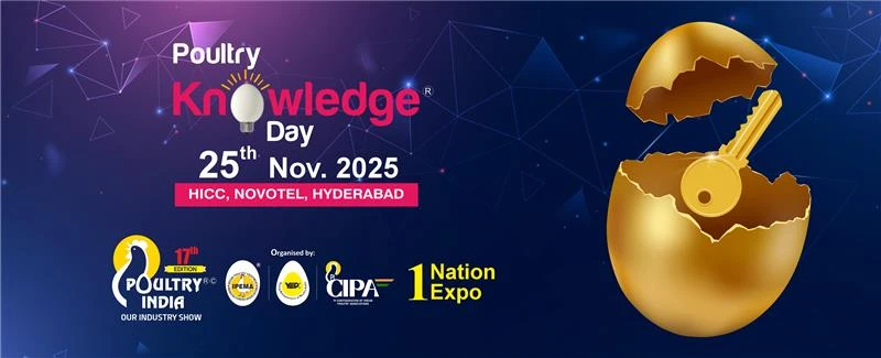 November 2025 Newsletter Banner 2