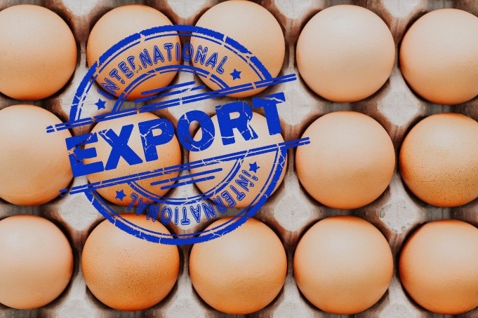 Russia Egg Exports