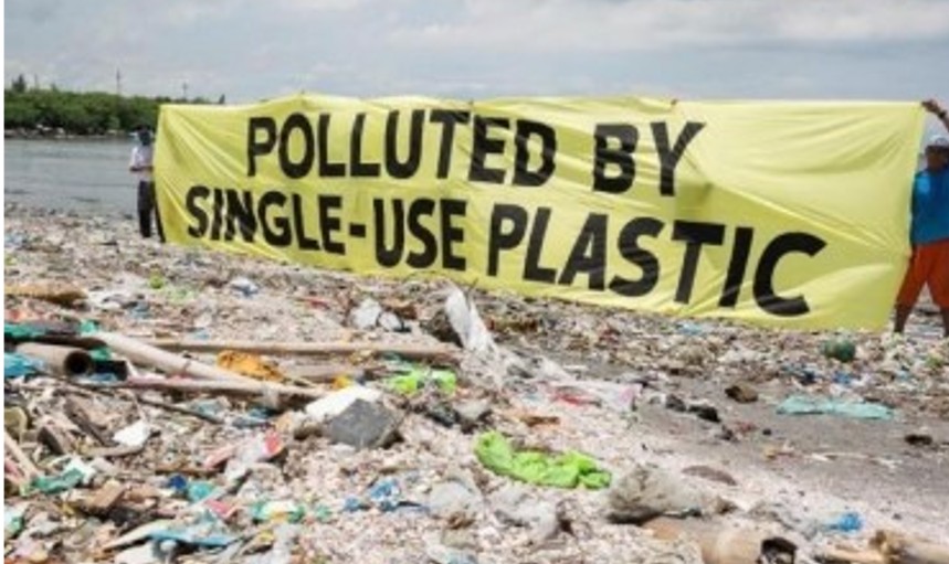 Sustainability in Poultry