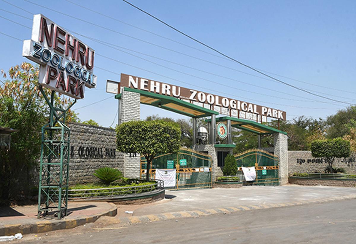 Nehru Zoological Park view 2
