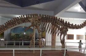 Salar Jung Museum view 2